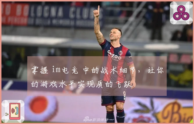 掌握 im电竞 中的战术细节，让你的游戏水平实现质的飞跃