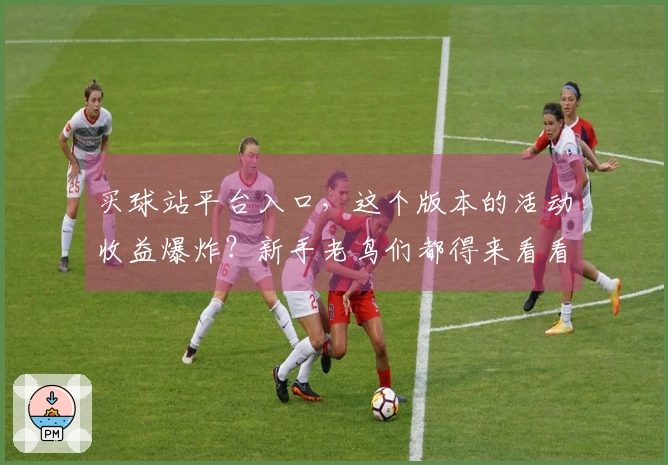 买球站平台入口，这个版本的活动收益爆炸？新手老鸟们都得来看看这份实测攻略！