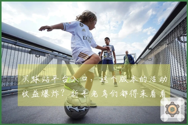 买球站平台入口，这个版本的活动收益爆炸？新手老鸟们都得来看看这份实测攻略！
