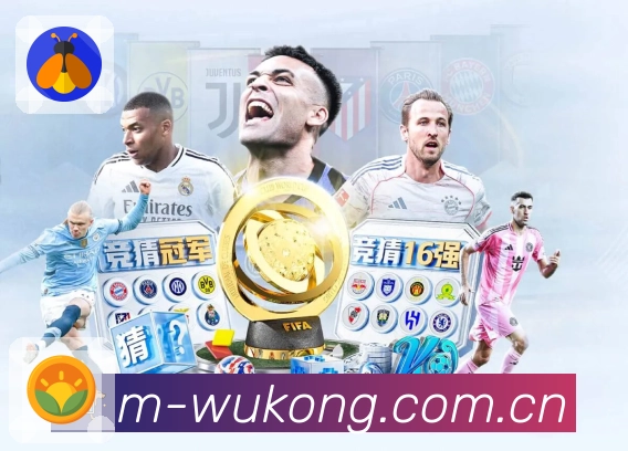 悟空体育APP 封面图